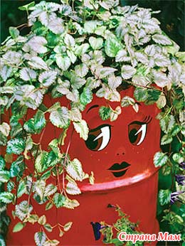 Картинка 7 из 804