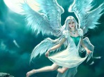    Fly Lady
