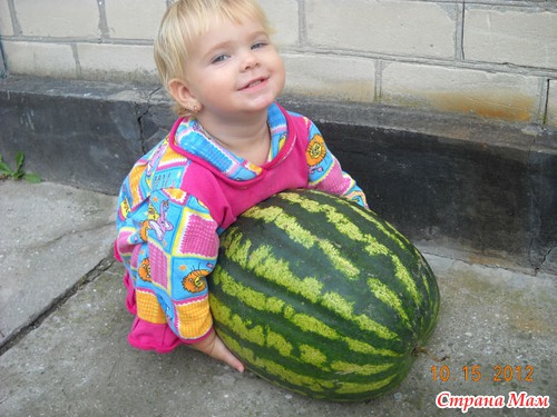 Фокус с арбузом. Але АП!