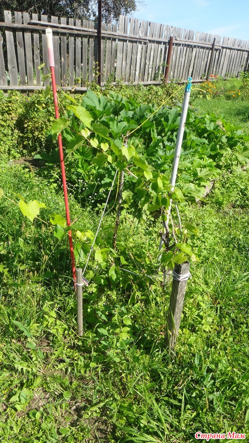 Касимовский район...