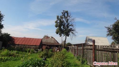 Касимовский район...