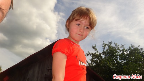 Касимовский район...