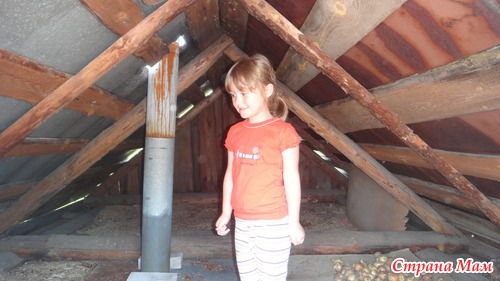 Касимовский район...