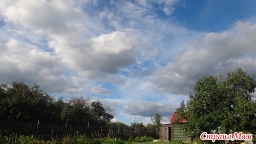 Касимовский район...