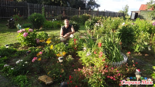 Касимовский район...