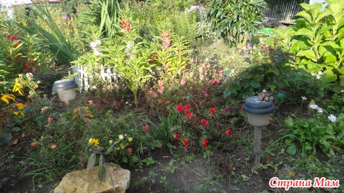 Касимовский район...