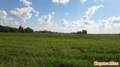 Касимовский район...