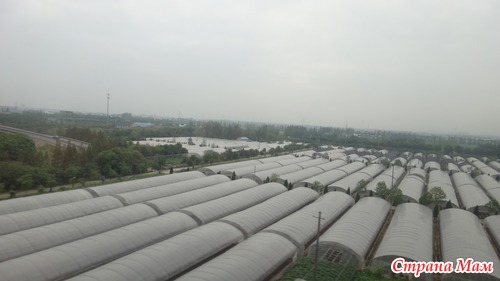 Нинбо (фоток что то очень много)))