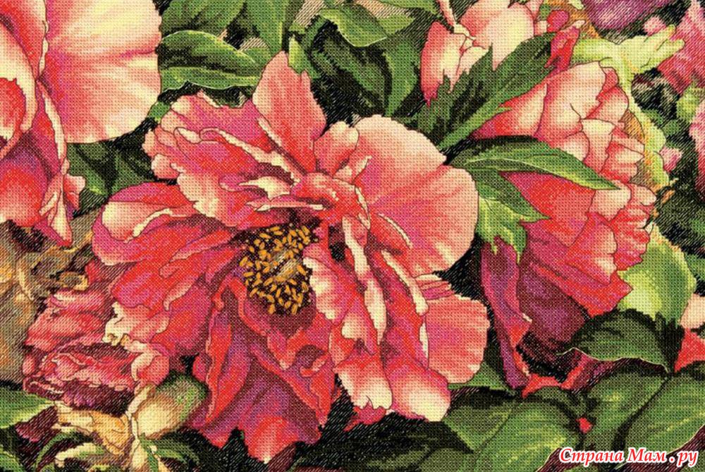 Dimensions. Весна 2013г. 