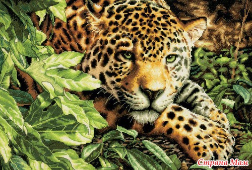 Dimensions. Весна 2013г. 