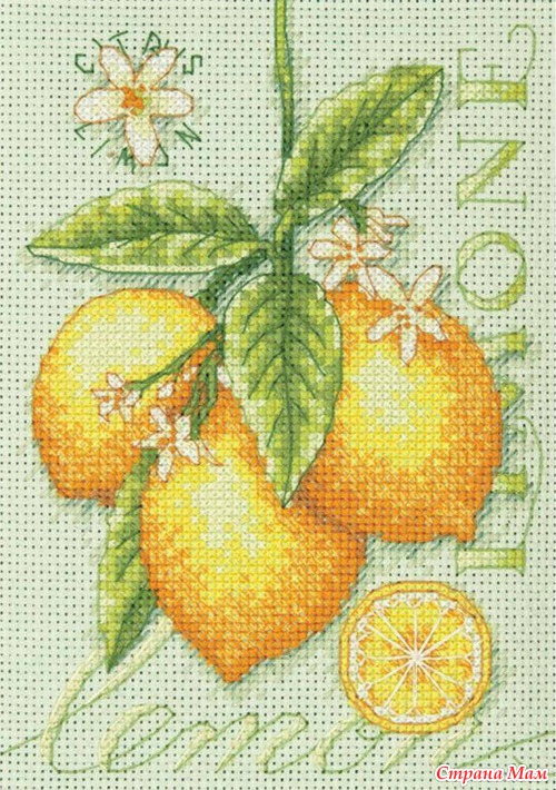 Dimensions. Весна 2013г. 