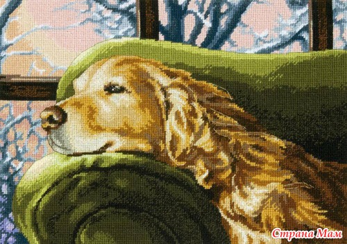 Dimensions. Весна 2013г. 