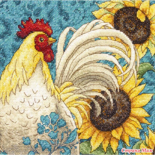 Dimensions. Весна 2013г. 