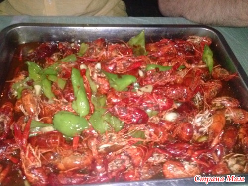 Аквапарк в Шанхае