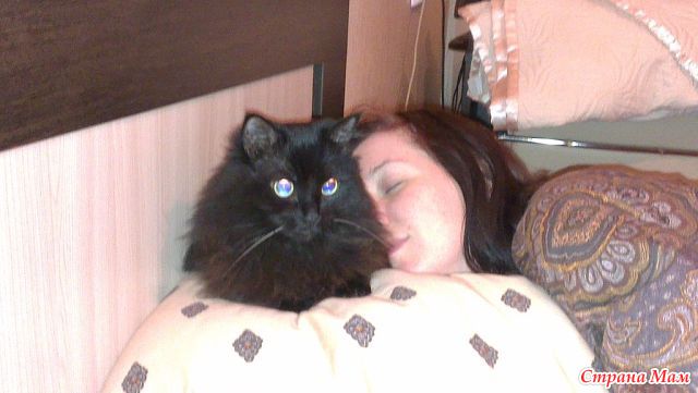 привет меня зовут кошка и я очень люблю. Смотреть фото привет меня зовут кошка и я очень люблю. Смотреть картинку привет меня зовут кошка и я очень люблю. Картинка про привет меня зовут кошка и я очень люблю. Фото привет меня зовут кошка и я очень люблю