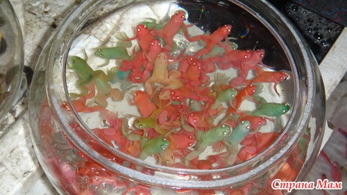 Прогулка по Шанхая