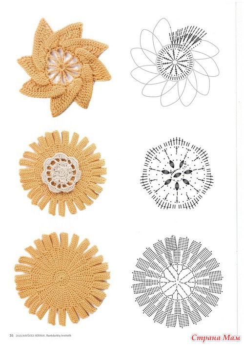 ���� ���������� ��������� �������