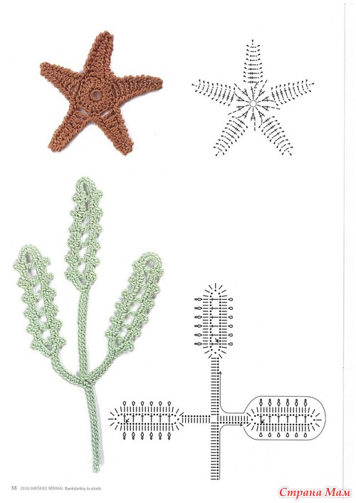 ���� ���������� ��������� �������