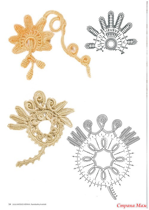 ���� ���������� ��������� �������