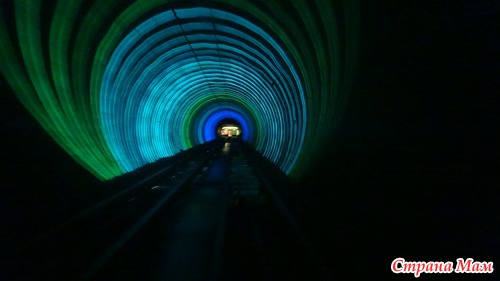 Сад Юйюань (Сад радости). Шанхай.