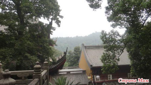 Welcome to Hangzhou!