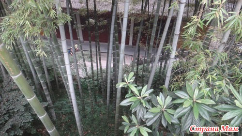 Welcome to Hangzhou!