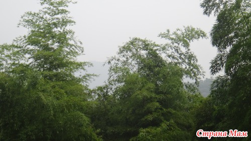 Welcome to Hangzhou!