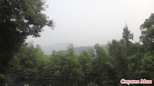 Welcome to Hangzhou!