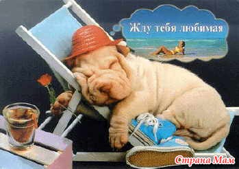 Хорошие приметы на свадьбу