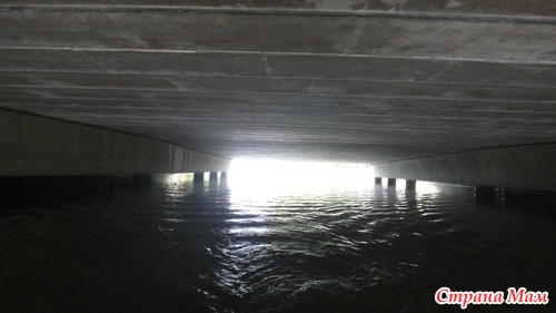 Парк века (Century Park). Шанхай