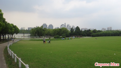 Парк века (Century Park). Шанхай