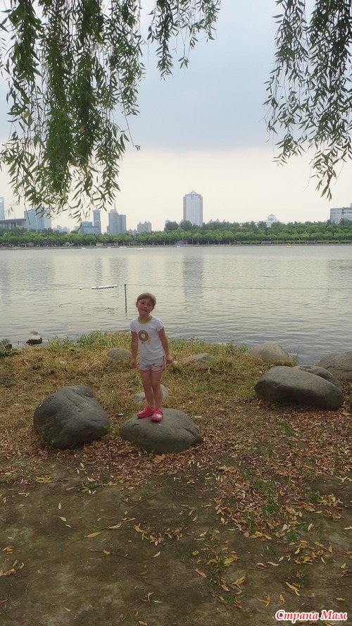 Парк века (Century Park). Шанхай