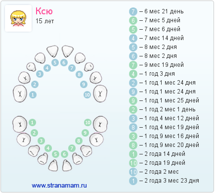 Метрика нашей жизни...